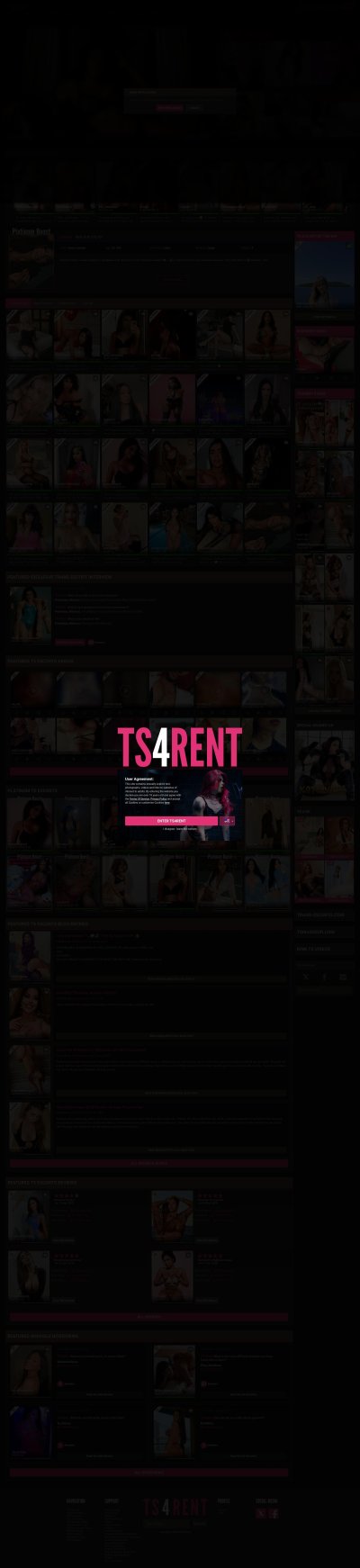TS4Rent