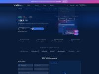 Bright Data SERP API