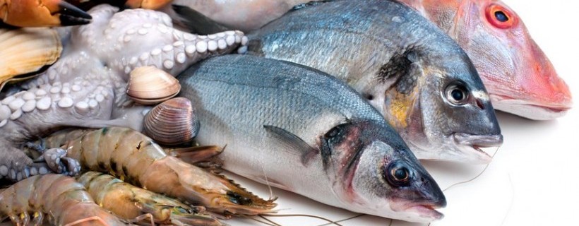 Todo lo que necesitas saber sobre los pescados y mariscos.