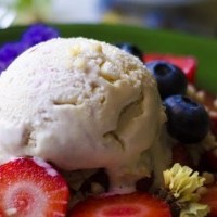 Conoce cuáles son los tipos de helados que te puedes encontrar en el mercado