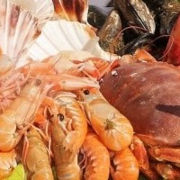 Todo lo que necesitas saber sobre los pescados y mariscos.