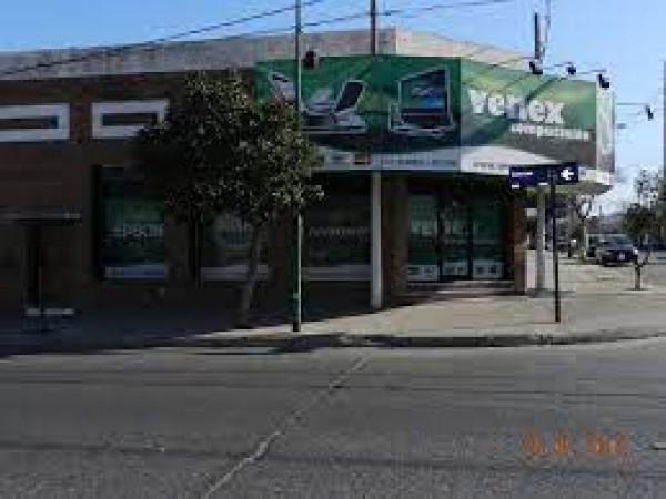 Edificio de Venex Computación con fachada verde, ventanas grandes y árbol frente a la entrada principal.